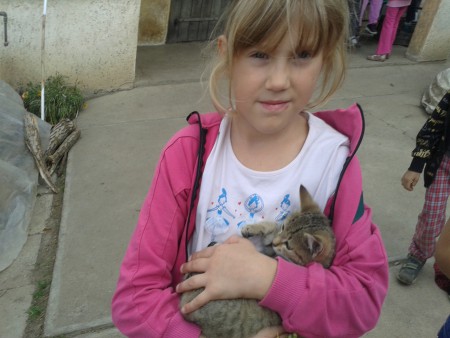 De a cicák mégjobban